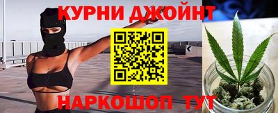 прущие грибы Гусиноозёрск