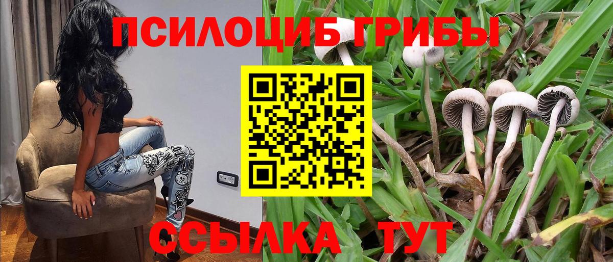 Псилоцибиновые грибы мухоморы Минеральные Воды